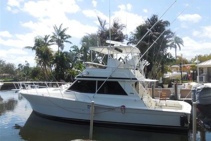 Viking Yachts Convertible for sale in United States of America for $119,000 (£89,818)