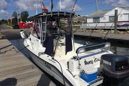 Cobia 240 Walkaround for sale in United States of America for $22,800 (£17,133)