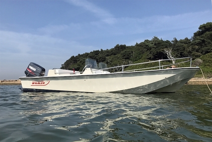 Boston Whaler 17 Supersport Limited for sale in United Kingdom for £8,995