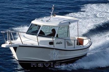 CALAFURIA 7 for sale in Italy for €12,000 (£10,511)