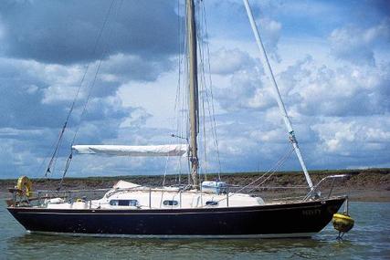 Contessa 26 for sale in United Kingdom for £9,950