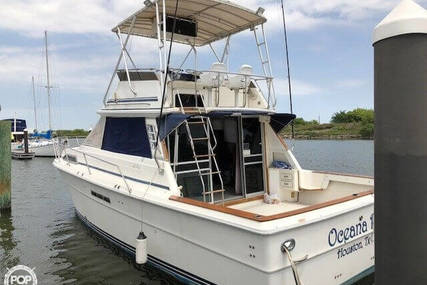 Sea Ray 390 Sedan Bridge for sale in United States of America for 28.400 $ (21.598 £)