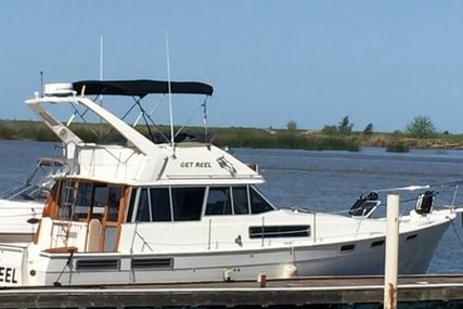 Bayliner 3888 Double Cabin Flybridge for sale in United States of America for $80,000 (£59,387)
