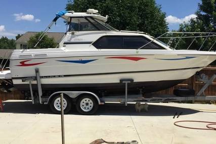 Bayliner Ciera 2452 Express for sale in United States of America for $21,900 (£16,310)