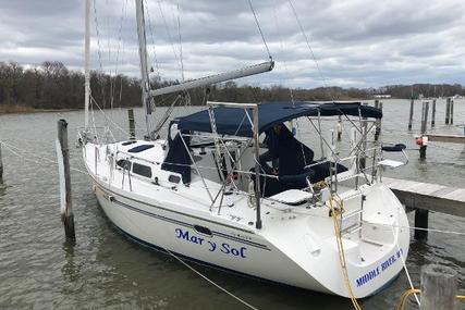Catalina 350 for sale in United States of America for $92,599 (£69,891)