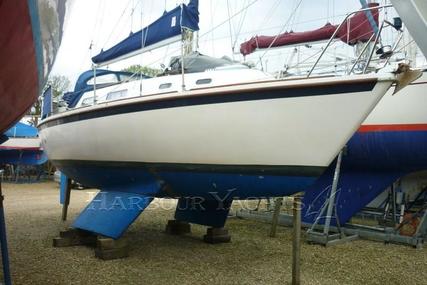 Westerly Griffon for sale in United Kingdom for £13,950
