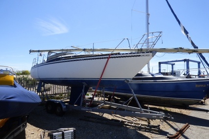 - Neptun 27 for sale in United Kingdom for £5,000