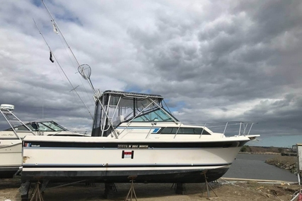 Wellcraft 32 for sale in United States of America for $29,500 (£22,009)