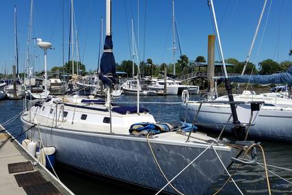 Custom Sail boat for sale in United States of America for $15,000 (£11,292)