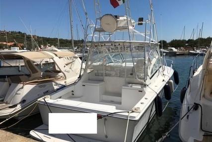 Luhrs 28 Hard Top for sale in Italy for €79,500 (£71,352)