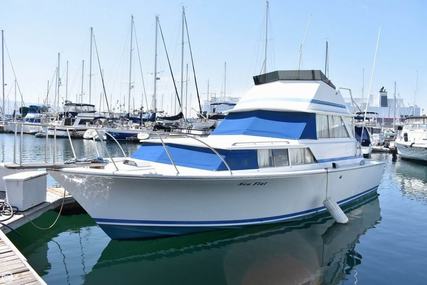 Bertram 35 Caribe Flybridge for sale in United States of America for $20,000 (£15,744)