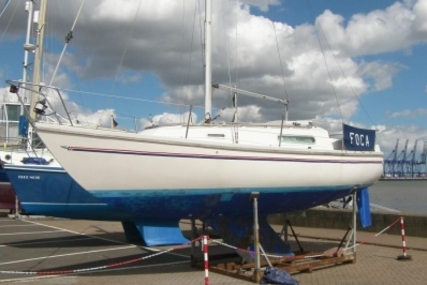 Sadler 26 for sale in United Kingdom for £9,995