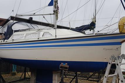 Sailfish 25 for sale in United Kingdom for £7,500
