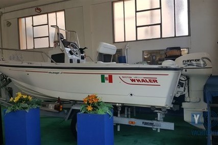 Boston Whaler 17 Outrage for sale in Italy for €18,000 (£15,731)