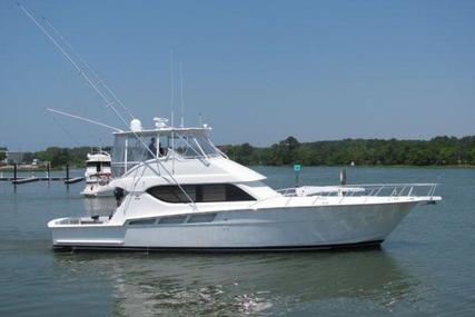 Hatteras Convertible for sale in Curaçao for $599,000 (£446,892)