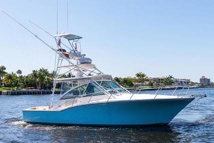 Carolina Classic 35 for sale in United States of America for $299,000 (£231,907)