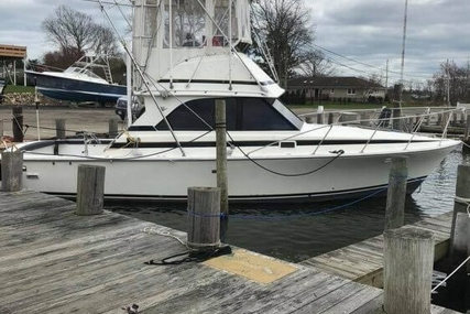 Bertram 35 for sale in United States of America for $62,500 (£46,901)