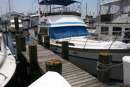 President 41 for sale in United States of America for $55,000 (£40,962)