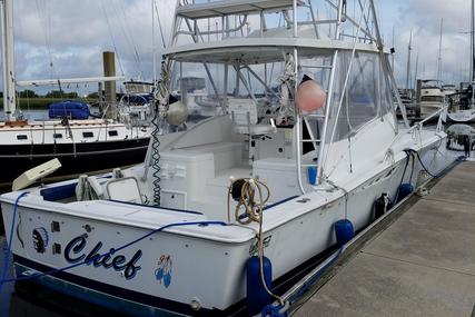 Luhrs Open for sale in United States of America for $49,900 (£37,754)