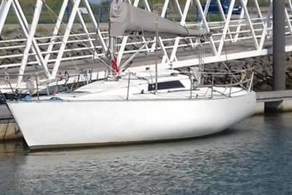 Hustler 32 for sale in United Kingdom for £18,995