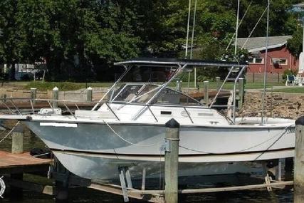 Shamrock PREDATOR 220 WA for sale in United States of America for $19,995 (£16,198)