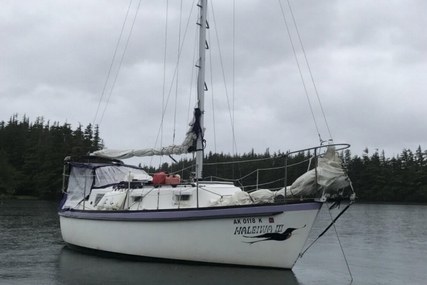 Pacific Boats 25 for sale in United States of America for $22,000 (£16,691)