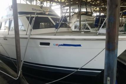 Trojan F-36 for sale in United States of America for $18,500 (£14,091)