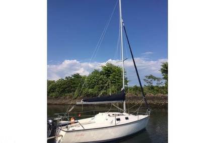 Precision 21 for sale in United States of America for $22,400 (£16,995)