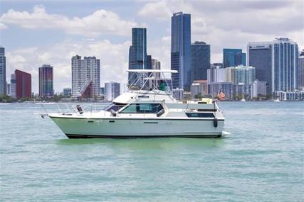 Hatteras for sale in United States of America for $59,000 (£44,872)