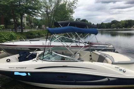 Sea Ray 185 Sport for sale in United States of America for $14,500 (£11,027)