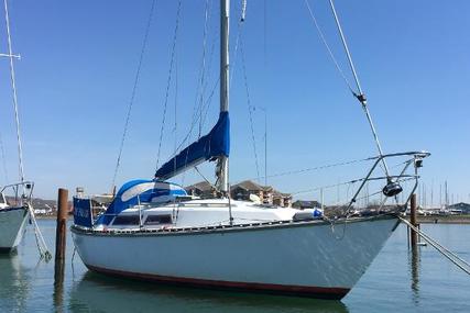 Trapper 501 for sale in United Kingdom for £7,500