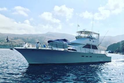 Cheoy Lee Convertible for sale in United States of America for $391,777 (£307,228)