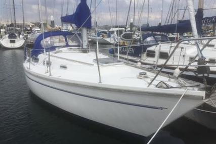 Sadler 29 for sale in United Kingdom for £19,900