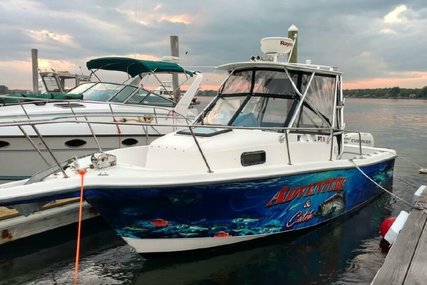Trophy 2509 Walkaround for sale in United States of America for $25,900 (£20,270)