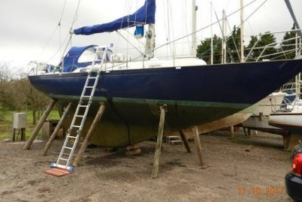Rustler 31 for sale in United Kingdom for £24,995