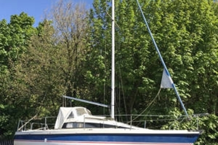 PEGASUS 700 for sale in United Kingdom for £4,475
