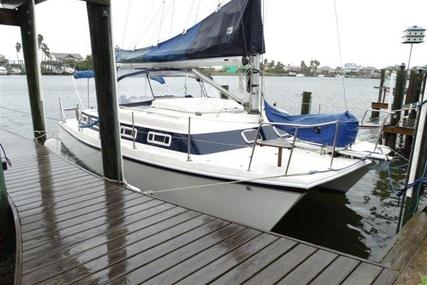 AMERICAT 3014 30' for sale in United States of America for $49,499 (£38,973)