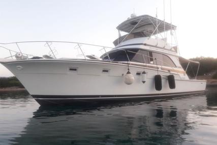Bertram 46.6 for sale in Greece for €180,000 (£158,367)