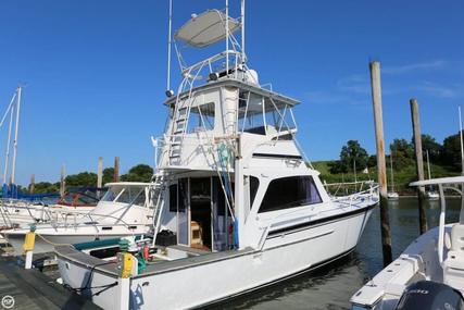 Striker 44 for sale in United States of America for $99,500 (£76,381)