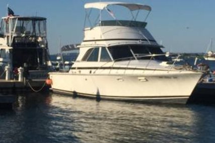 Bertram 35 Convertible for sale in United States of America for $29,900 (£22,751)