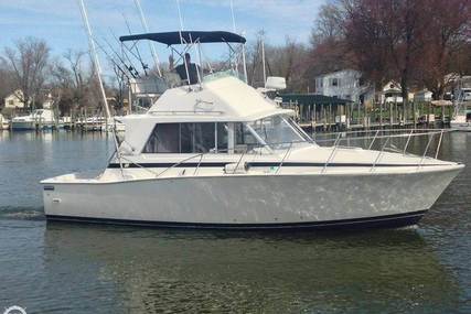 Bertram 33 for sale in United States of America for $27,800 (£21,794)