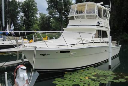 Viking Yachts Open Bridge for sale in United States of America for $32,800 (£25,179)