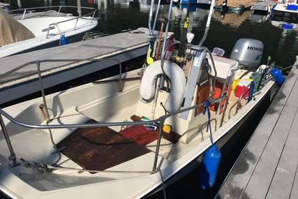 Boston Whaler 17 Montauk for sale in United States of America for $17,500 (£13,350)