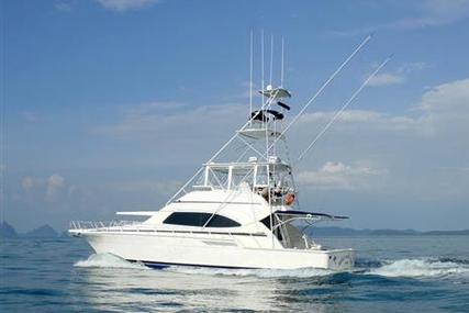 Bertram 510 for sale in Thailand for $495,000 (£385,517)