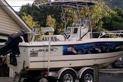 Sea Boss 21 for sale in United States of America for $16,000 (£12,531)