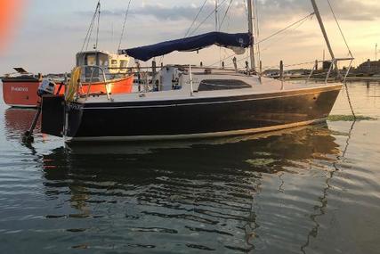 Hunter Medina for sale in United Kingdom for £4,000