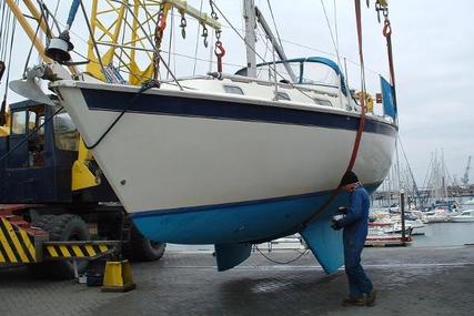 Westerly Seahawk 34 for sale in United Kingdom for £34,500