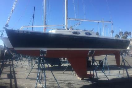 Schock Harbor 25 for sale in United States of America for $56,900 (£43,831)