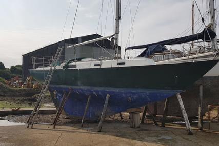 Rustler 31 for sale in United Kingdom for £12,000