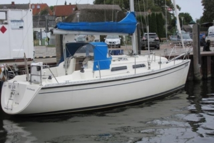 Hanse 311 for sale in Germany for 36,900 € (31,577 £)